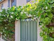 Maison avec jardin et terrasse