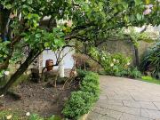 Maison avec jardin et terrasse