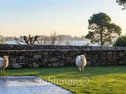 Maison avec jardin et terrasse