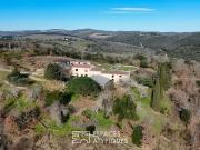 Maison avec jardin et terrasse
