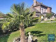 Maison avec jardin et terrasse