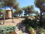 Maison avec moulin 237m² Narbonne