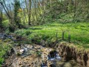 Maison avec piscine et jardin