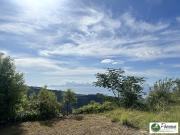 Maison avec piscine et jardin