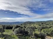 Maison avec piscine et jardin
