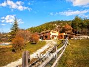Maison avec piscine et jardin