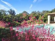 Maison avec piscine et jardin