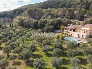Maison avec piscine et jardin