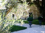 Maison avec piscine et jardin