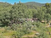 Maison avec piscine et jardin