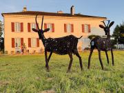 Maison avec piscine et jardin