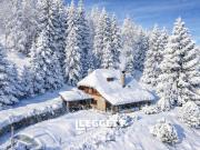 Maison avec piscine et jardin