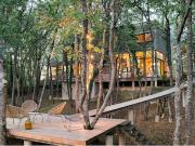 Maison avec piscine et jardin