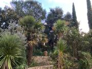 Maison avec piscine et jardin