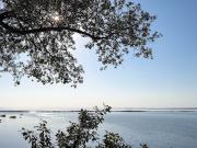 Maison avec piscine et terrasse