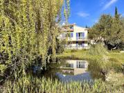 Maison avec piscine et terrasse