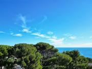 Maison avec piscine et terrasse
