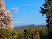 Maison avec piscine et terrasse
