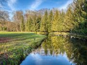 Maison avec piscine et terrasse