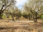 Maison avec terrasse