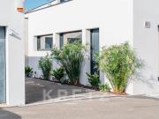 Maison avec piscine et terrasse