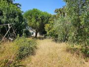 Maison avec terrasse