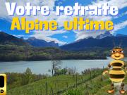 Maison + Chalet avec grand terrain Idéal accueil...