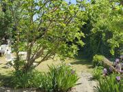 Maison complète 7 chambres baux individuels