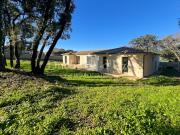 Maison contemporaine avec jardin