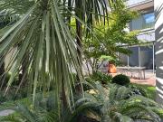 Maison contemporaine avec jardin et terrasse