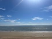 Maison contemporaine en bord de mer avec jardin