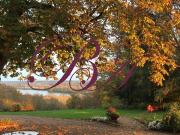Maison de 11 pièces de luxe en vente à Langeais, France