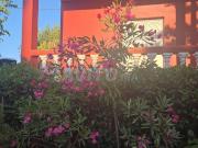 Maison de 180M2 avec 6 lot et piscine à Sidi Taibi