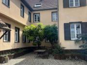 Maison de 22 pièces de luxe en vente à Strasbourg, France