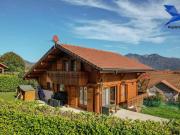 Maison de 3 chambres de luxe en vente à Peillonnex, France