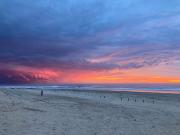 Maison de 55m2 à louer sur Soulac sur Mer