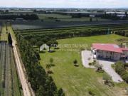 Maison de 6 chambres de luxe en vente à Mauguio, France
