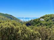 Maison de 6 pièces de luxe en vente à Santa Maria di...