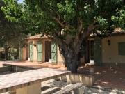 MAISON DE CAMPAGNE AU COEUR DES VIGNES