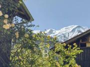 Chalet de luxe de 4 chambres en vente Servoz, France