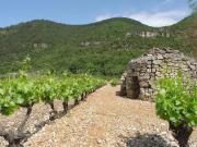 Maison de campagne de luxe en vente Montpellier, France