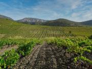 Maison de campagne de luxe en vente Perpignan, Occitanie