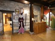 Maison de caractère 560m² Cordes sur Ciel