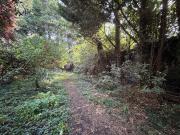 Maison de caractère de 293m2 à rénové à deux pas du Parc...