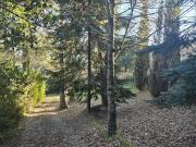 Maison de charme sur parc paysager 100m² Saint Jean du Gard