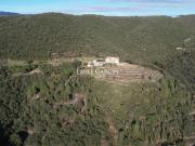 Maison de luxe de 13 pièces en vente à Monoblet, Occitanie