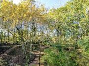 Maison de luxe de 275 m2 en vente Arbonne, France