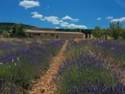 Maison de luxe de 443 m2 en vente Sault, France