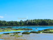 Maison de luxe de 450 m2 en vente Pluneret, Bretagne
