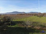 Maison de luxe de 5 pièces en vente à Obernai, Grand Est